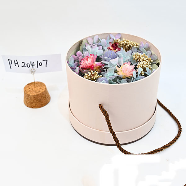 PH204107 PH204107