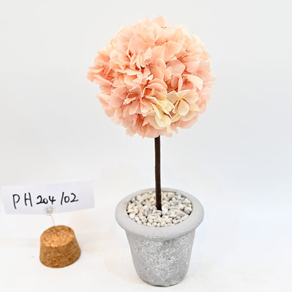 PH204102 PH204102