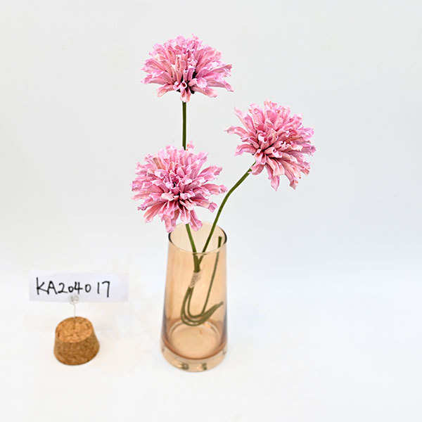 KA204017 KA204017